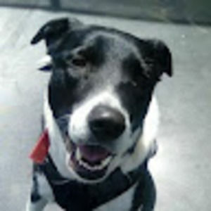 Meet your Posher, Lydia